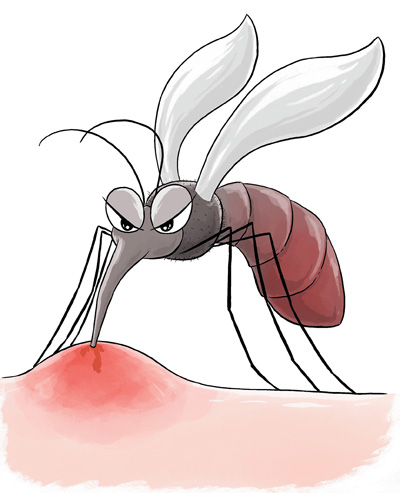 蜱虫、隐翅虫、蚊子……  夏季，常见蚊虫如何应对