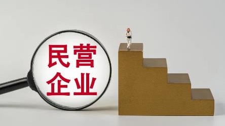 拔节生长见未来——民营企业加快技术突破和转型升级