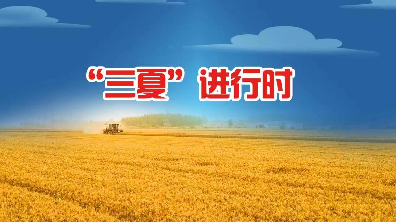 智慧气象护航三夏生产