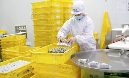揭秘食品工业数字化转型的变革蓝图
