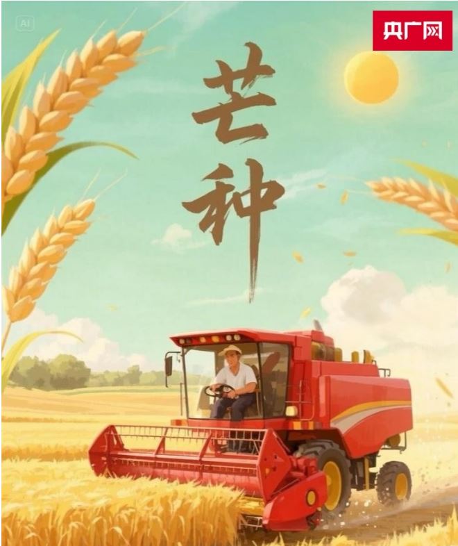 AI看二十四节气 | 芒种至 南种北收各不同