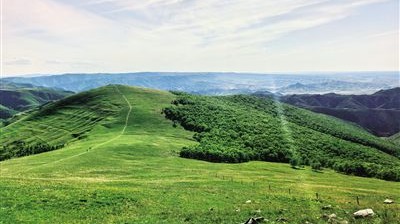 “十四五”我国退化草原年均缩减5000万亩