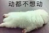 大考落幕，孩子从“紧绷弦”切换到“考后瘫”该咋办？