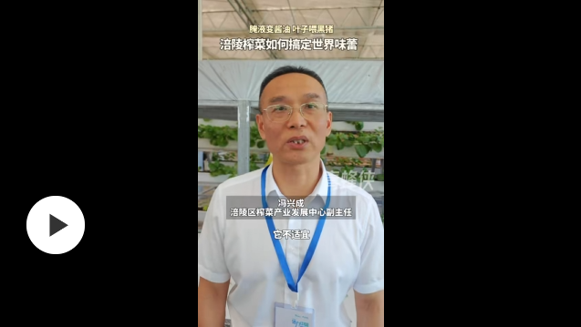 活力中国调研行 | “国民小菜”涪陵榨菜靠绿色科技闯世界