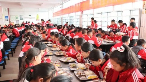 提升校园食品安全！两部门发布指引