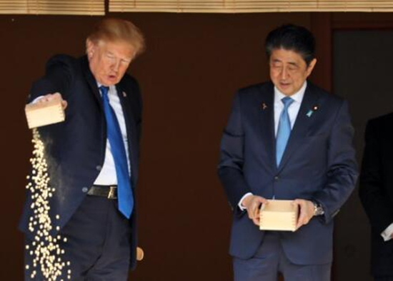 特朗普受邀和安倍一起喂鱼 一出手惊呆所有人