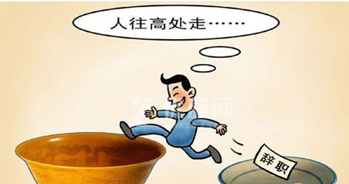 跳槽新变化：求职更像是“尝试”