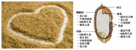 40岁后每天吃它降压降脂清血管