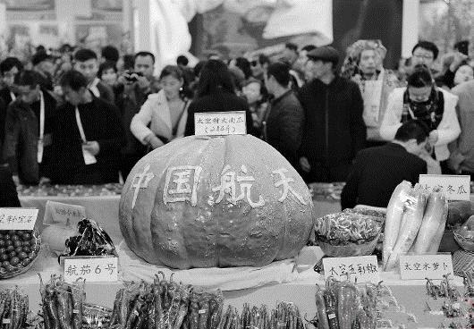 奇!“农业奥林匹克”上的农业“黑科技”