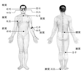 人有八个“养生窝”