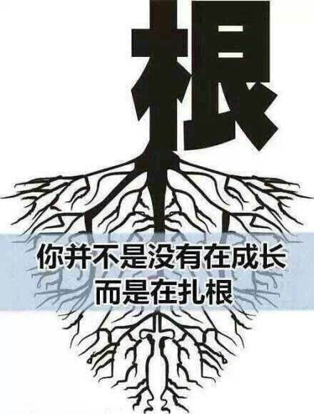 新文科建设：开放创新的视野扎根中国的自觉