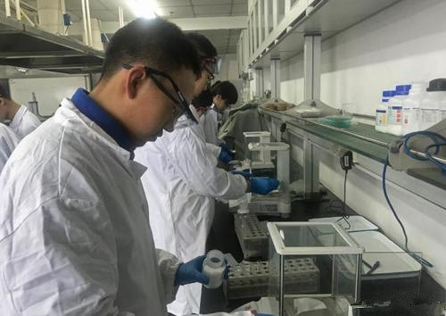 2020年“英才计划”将选拔900名中学生接受大学导师培养