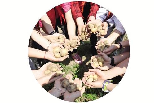 新时代劳动教育如何落地生根