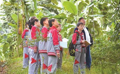 新时代劳动教育如何落地生根
